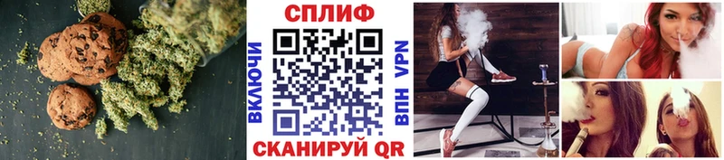 где продают Ершов блэк спрут ссылка Canna-Cookies конопля