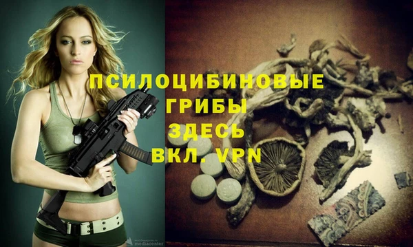 MESCALINE Бородино