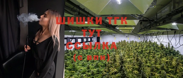 гидропоника Бугульма