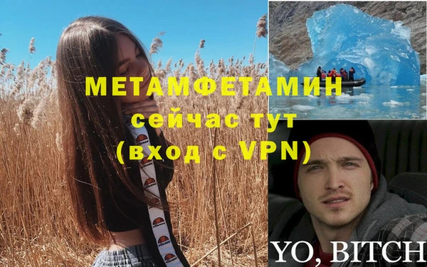 трава Бронницы