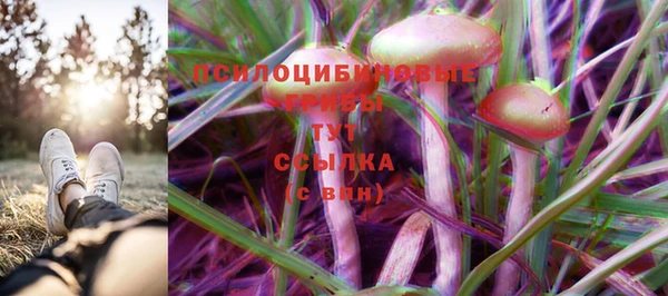 гидра Елабуга